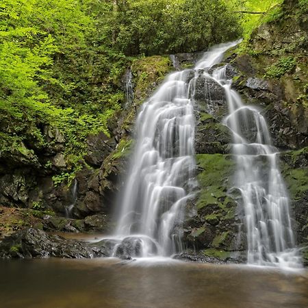 Apple Valley Hideaway, 1089 Of Free Attraction Tickets For Each Paid Day, Dollywood And More! Pigeon Forge Exteriér fotografie
