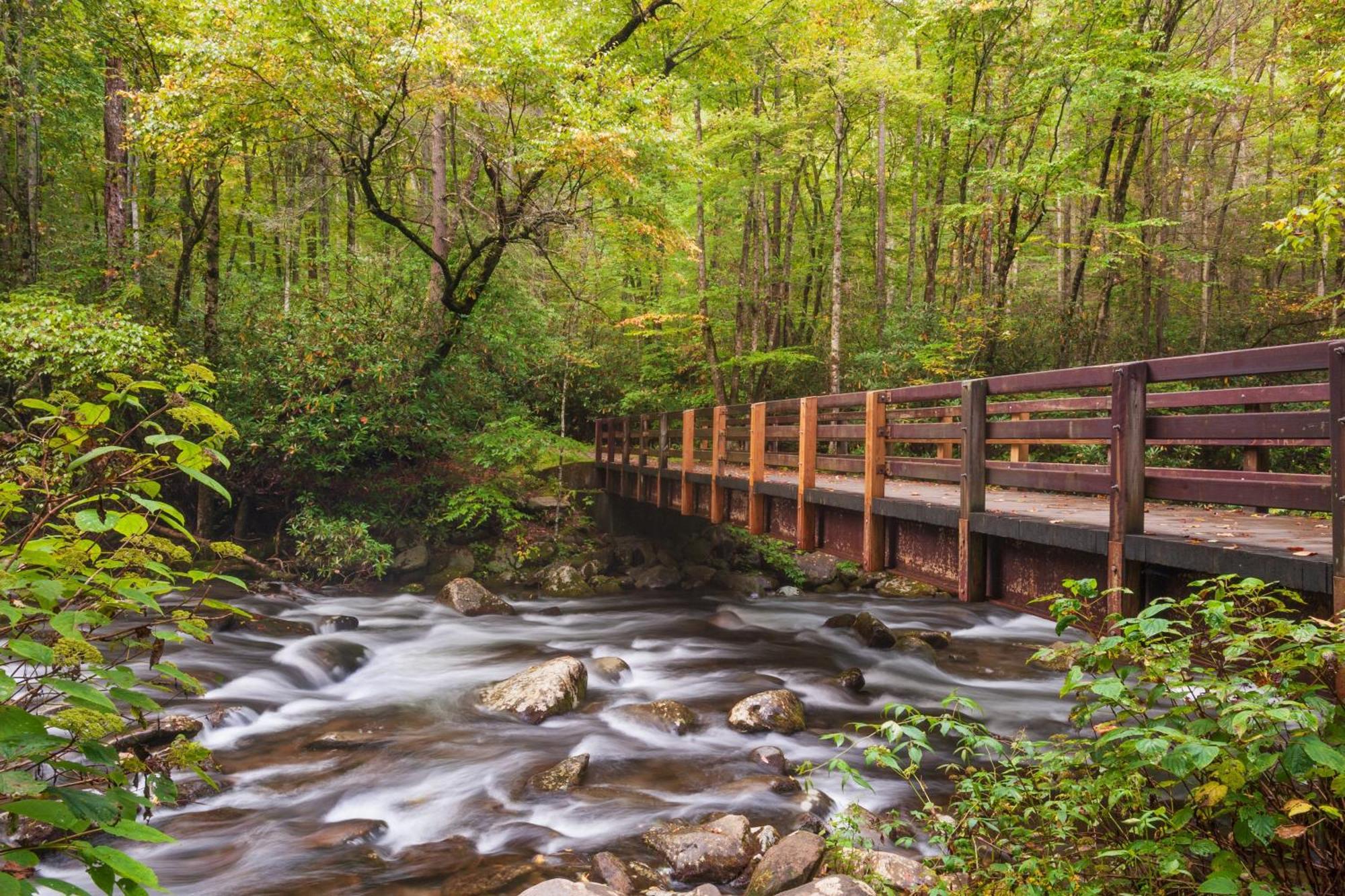 Apple Valley Hideaway, 1089 Of Free Attraction Tickets For Each Paid Day, Dollywood And More! Pigeon Forge Exteriér fotografie