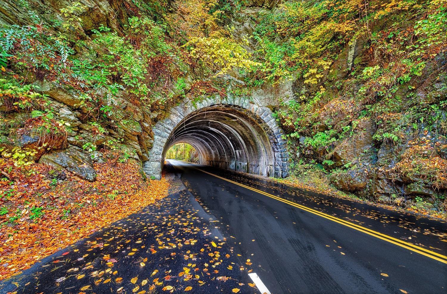 Apple Valley Hideaway, 1089 Of Free Attraction Tickets For Each Paid Day, Dollywood And More! Pigeon Forge Exteriér fotografie