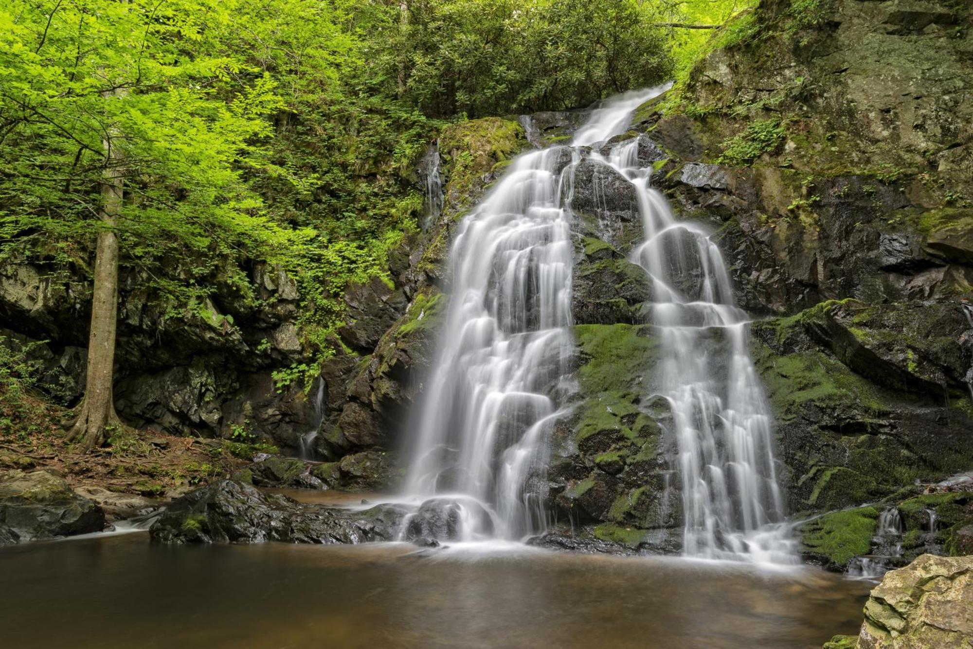 Apple Valley Hideaway, 1089 Of Free Attraction Tickets For Each Paid Day, Dollywood And More! Pigeon Forge Exteriér fotografie
